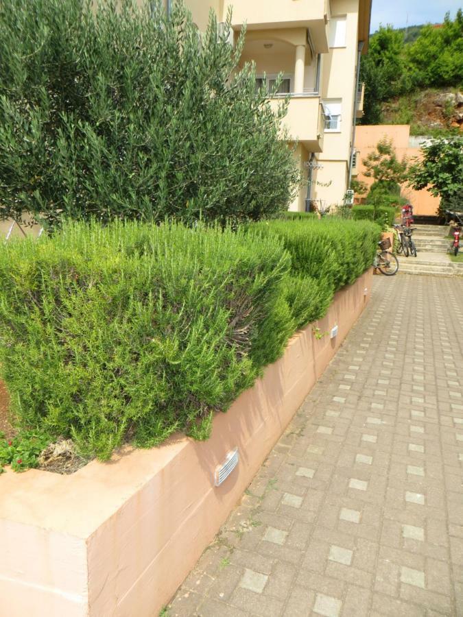 Apartman Mario Cres Εξωτερικό φωτογραφία